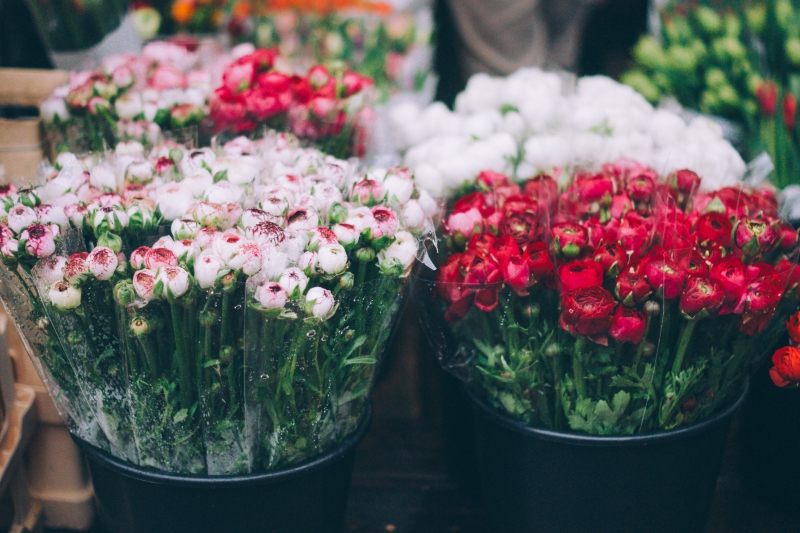 fleuriste-CANNES-min_farmers-market-1209712